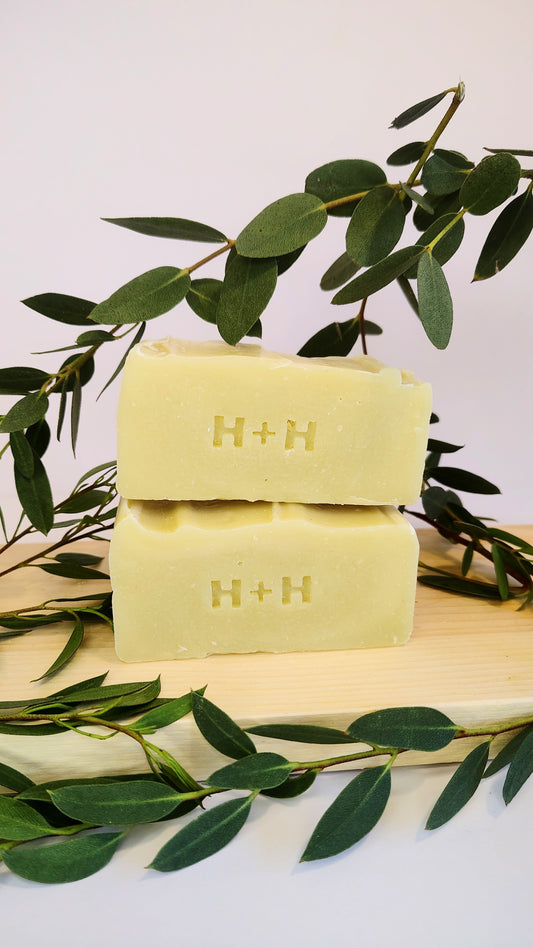 Eucalyptus (Mild) Cold Process Bar Soap