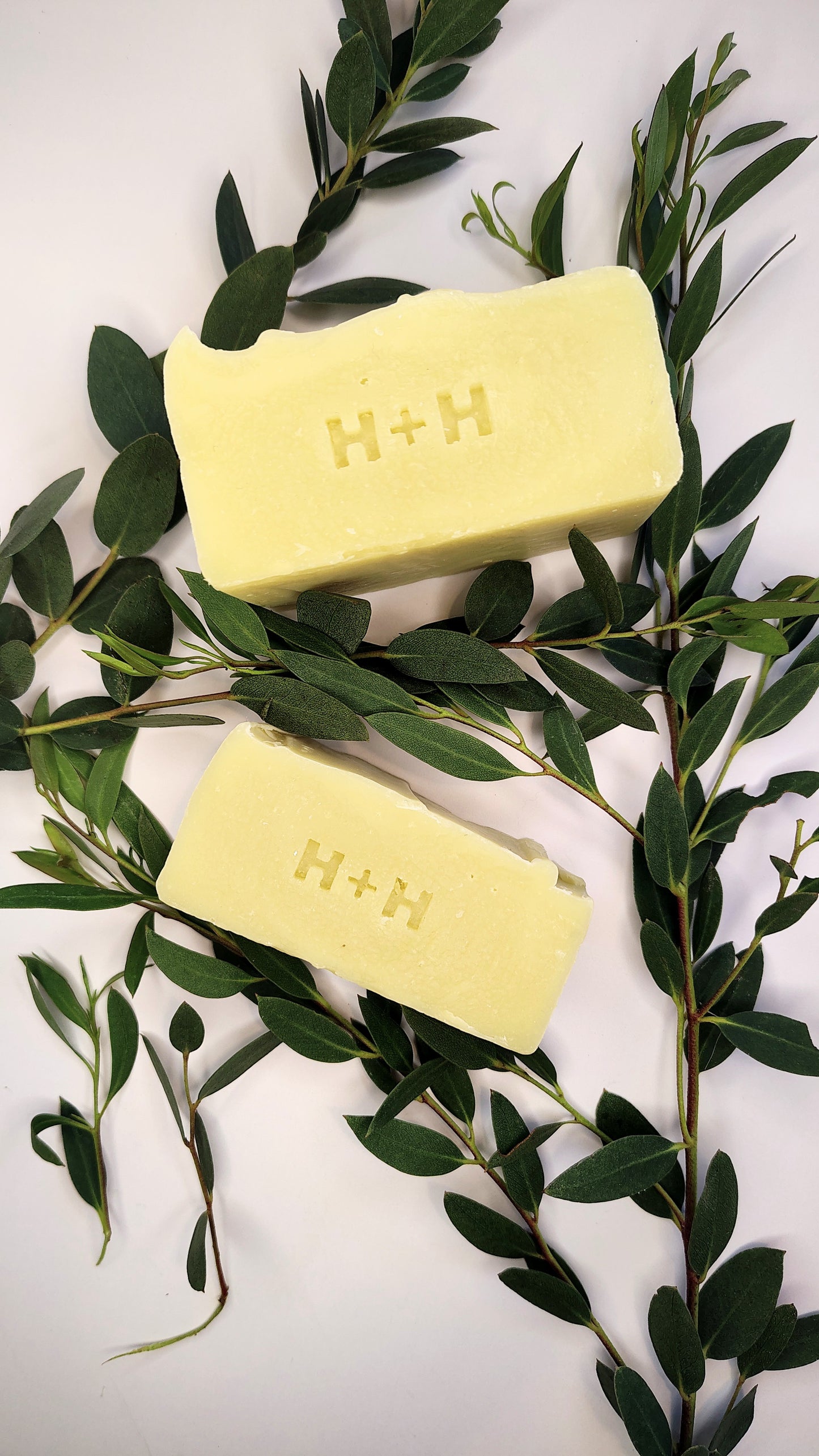 Eucalyptus (Mild) Cold Process Bar Soap
