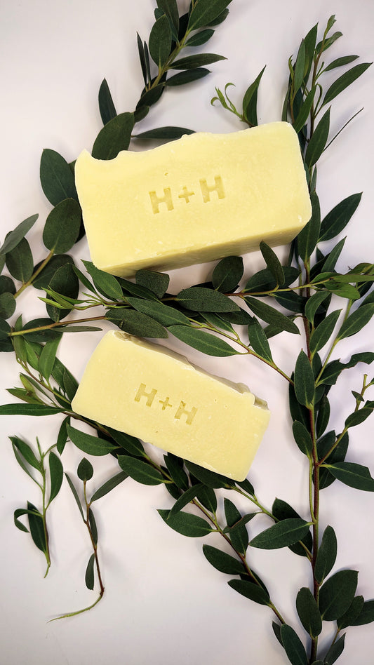 Eucalyptus (Mild) Cold Process Bar Soap