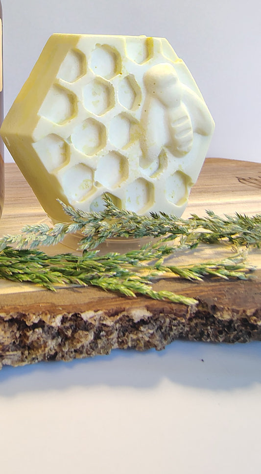 Summer Hydration Lotion Bar
